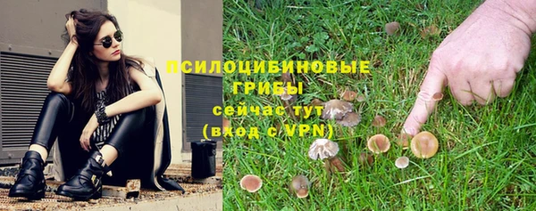 соль курить ск Арсеньев