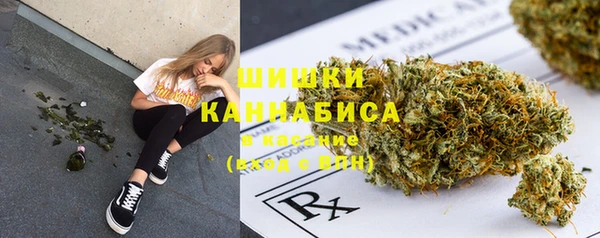 spice Алексеевка
