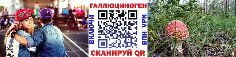 Галлюциногенные грибы Magic Shrooms  Купить где  Боготол 