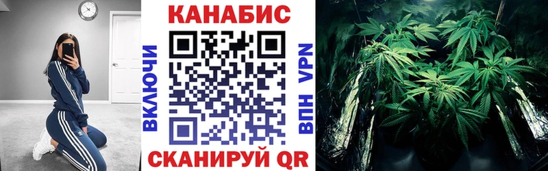 Бошки марихуана Bruce Banner  Купить закладки  Боготол 